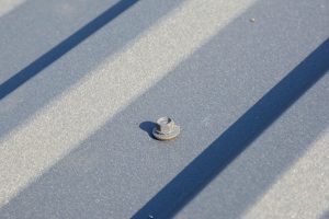 adobestock 349164702 (1)